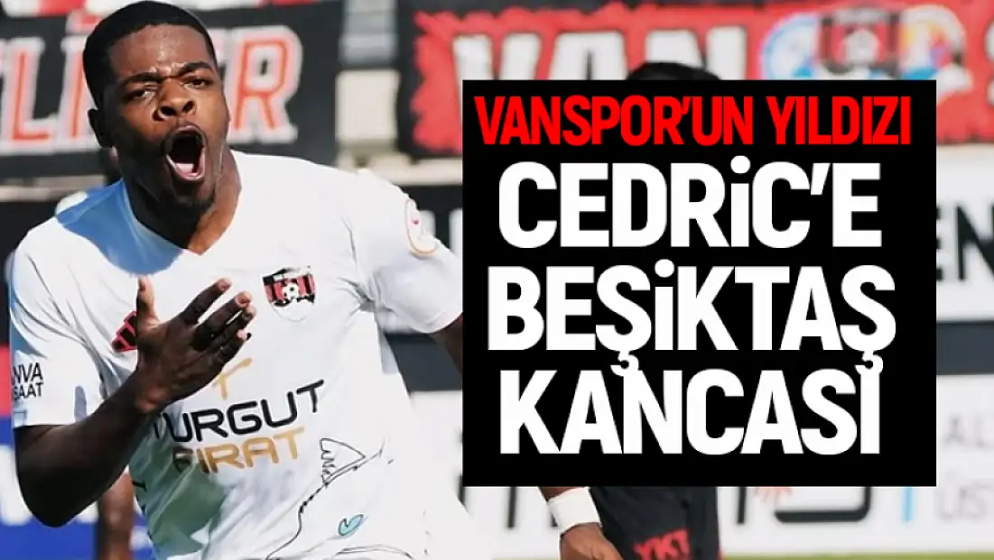 Beşiktaş, Vanspor'un golcüsü Ivan Cedric'e kanca attı