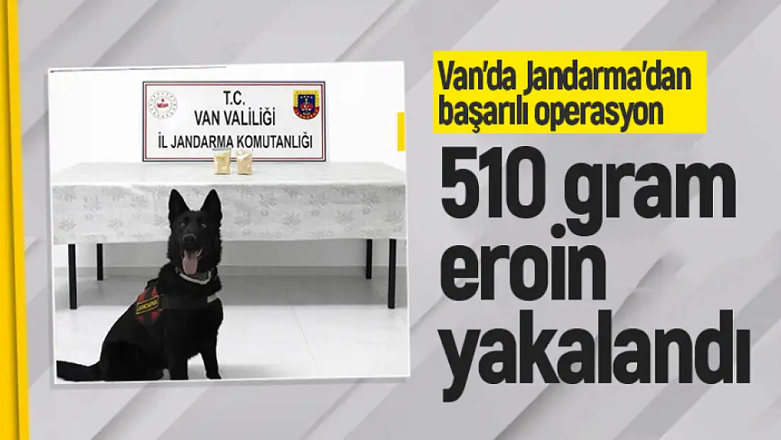 Van'da İranlı şahıstan 510 gram eroin çıktı