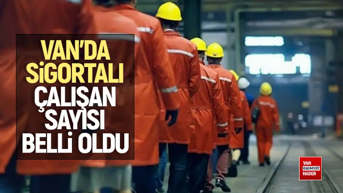 Van'da sigortalı çalışan sayısı belli oldu
