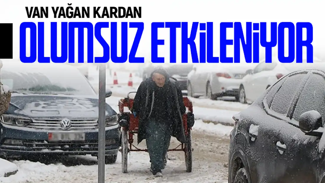 Van yağan kardan olumsuz etkileniyor