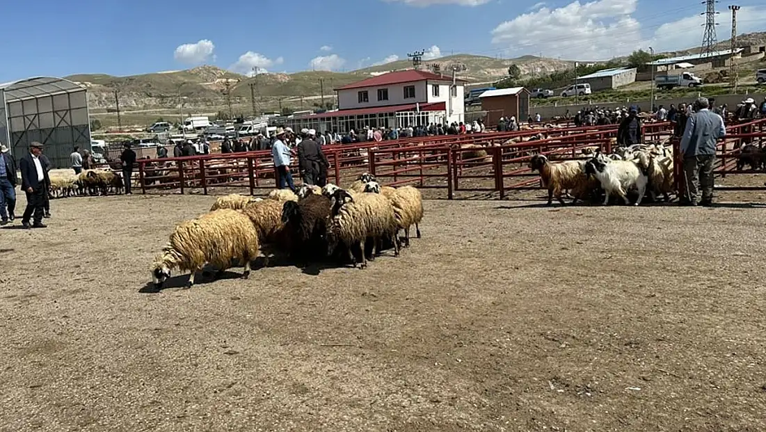 Van’da besicileri ilgilendiren gelişme: Bugün itibariyle açıldı!