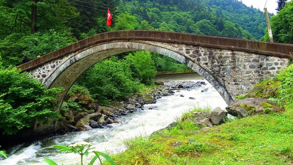 Yer: Rize! Çift başlı balıklar görenleri şaşkına çeviriyor! İşte nedeni...