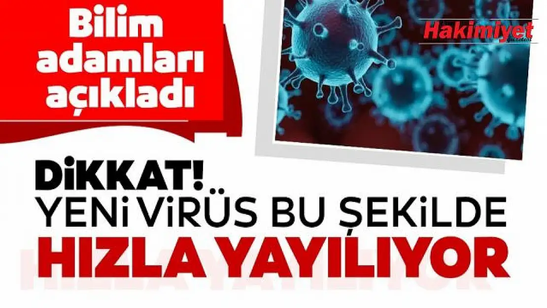 Mutasyonlu virüs Van'a sıçradı