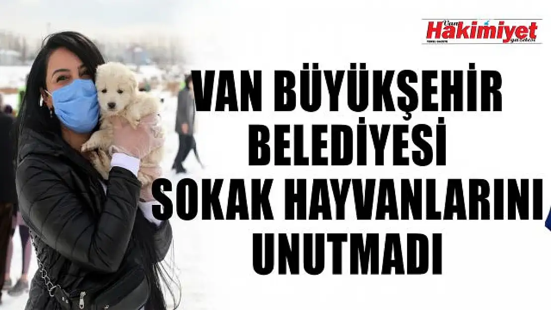 Van Büyükşehir Belediyesi sokak hayvanlarını unutmuyor