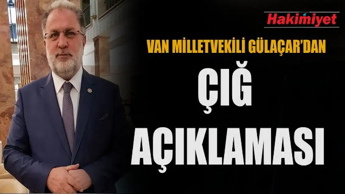 Van Milletvekili Gülaçar'dan çığ açıklaması