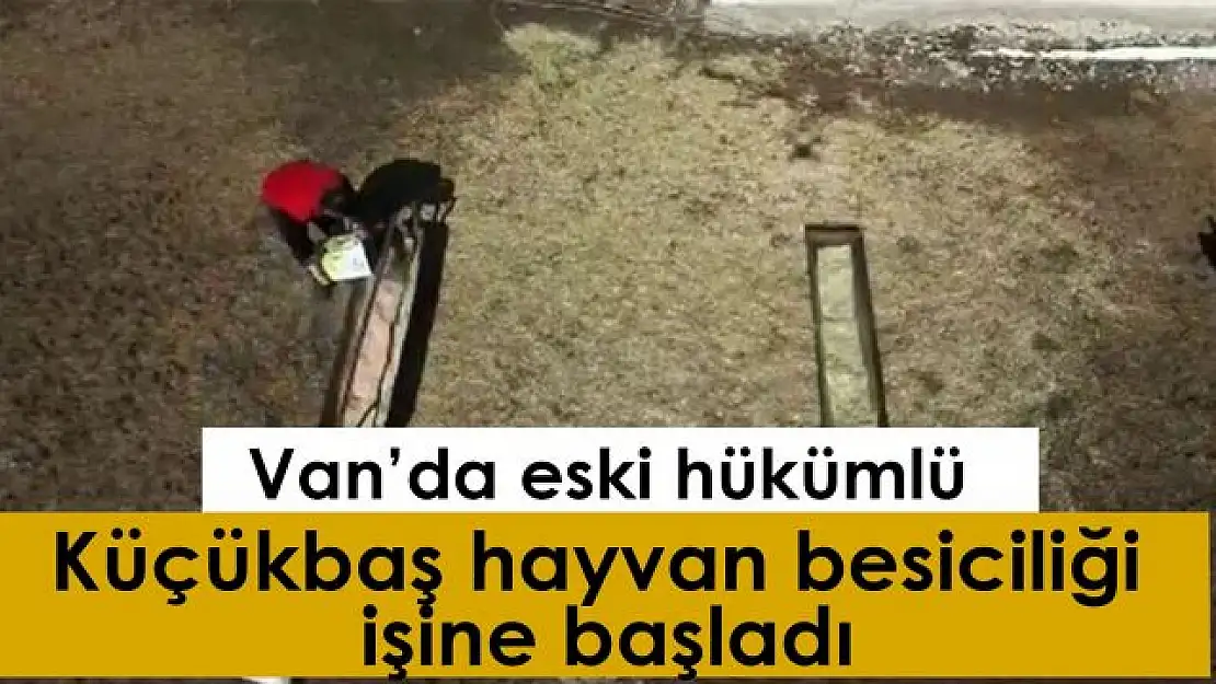 Devlet desteği alan eski hükümlü, küçükbaş hayvan besiciliği işine başladı