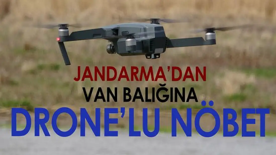 Drone'li denetimlerin ilk gününde 3 ton inci kefali kurtarıldı