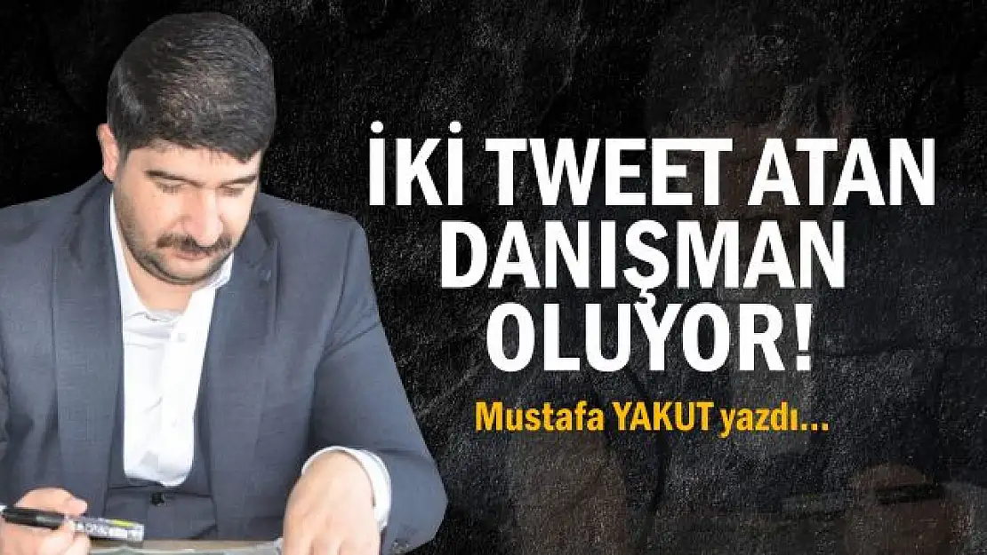 İki Tweet atan danışman oluyor!