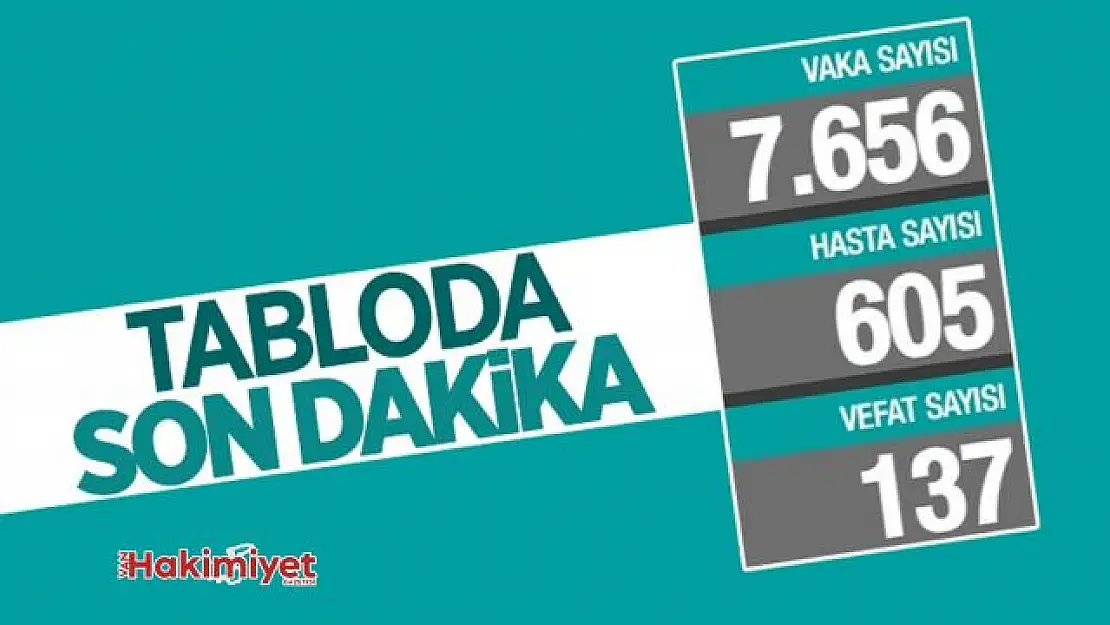 29 Mayıs Türkiye'nin koronavirüs tablosu