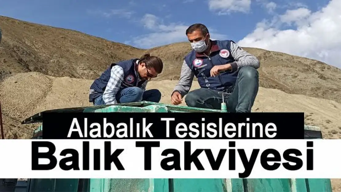 Alabalık tesislerine 2 milyon 400 bin balık aktarıldı