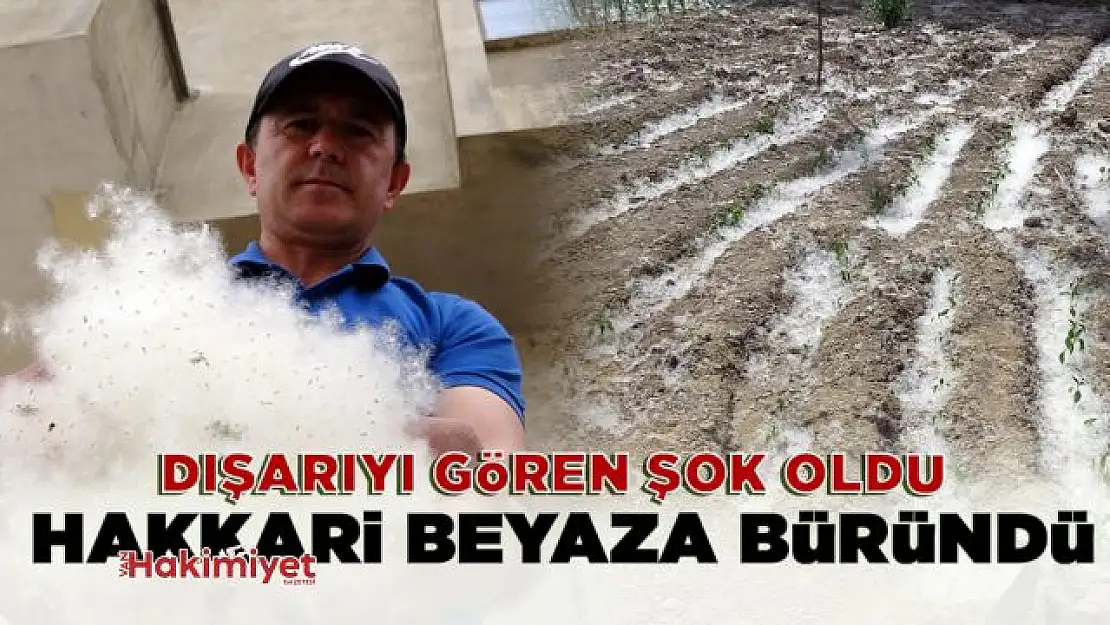 Dışarıyı beyaza bürüyen polenler görenleri şaşırttı