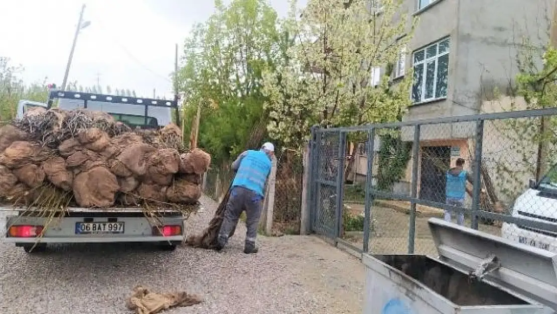 Edremit'te üreticilere ceviz fidanı dağıtımı