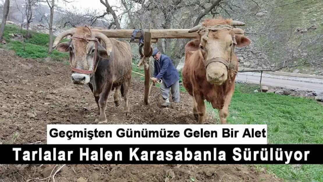 Engebeli arazilerin vazgeçilmezi 'karasaban'