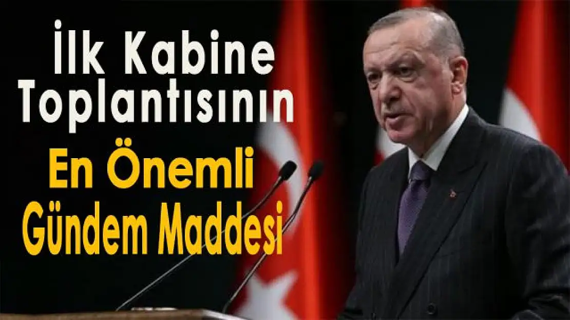 İlk Kabine toplantısının en önemli gündem maddesi normalleşme takvimi olacak