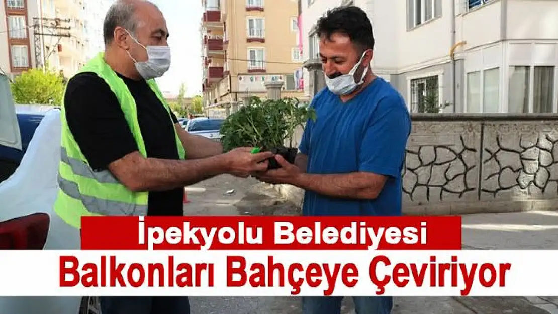 İpekyolu Belediyesi balkonları bahçeye çeviriyor