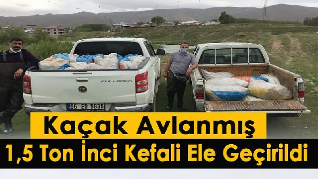 Kaçak avlanmış 1,5 ton inci kefali ele geçirildi