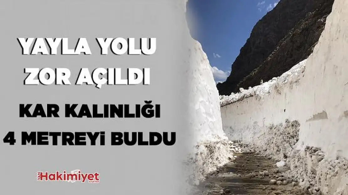 Kar kalınlığının 4 metreyi bulduğu yayla yolu açıldı