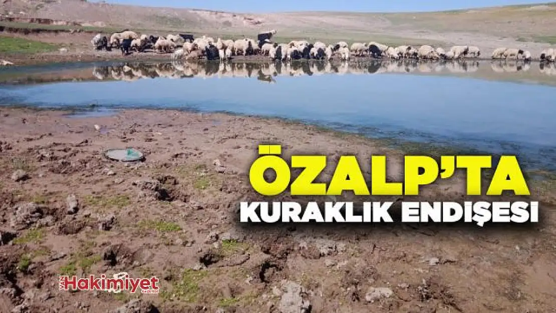 Özalp'ta kuraklık endişesi!