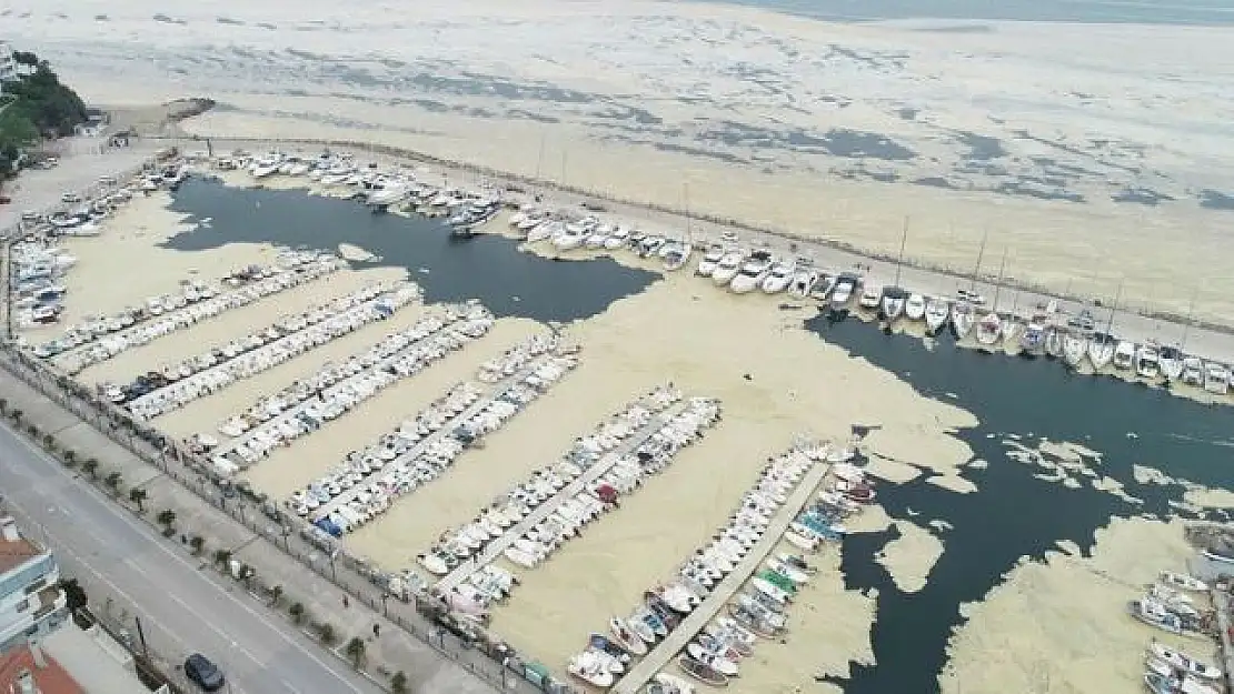 Pendik Marina'yı deniz salyaları kapladı! Manzara korkunç