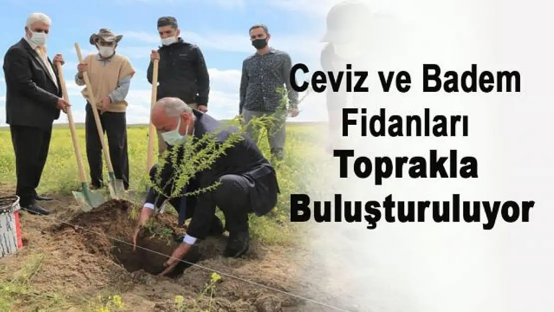 Tuşba'da ceviz ve badem fidanları toprakla buluşturuluyor