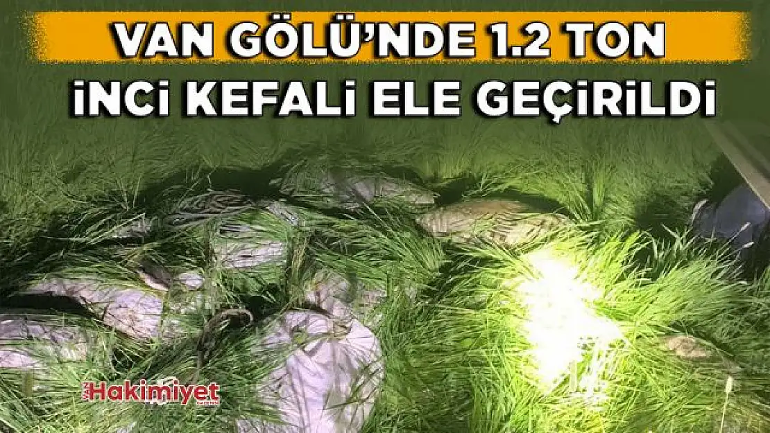 Van Gölü'nde 1.2 ton inci kefali ele geçirildi