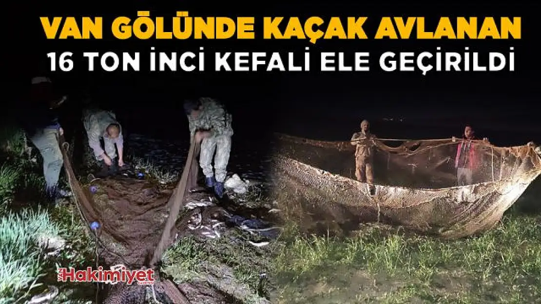 Van Gölü'nde kaçak avlanan 16 ton 200 kilo inci kefali ele geçirildi