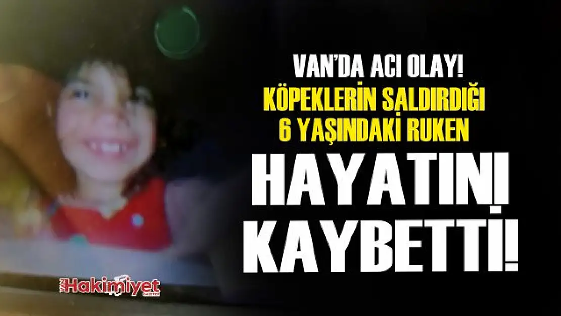 Van'da köpeklerin saldırdığı 6 yaşındaki Ruken hayatını kaybetti