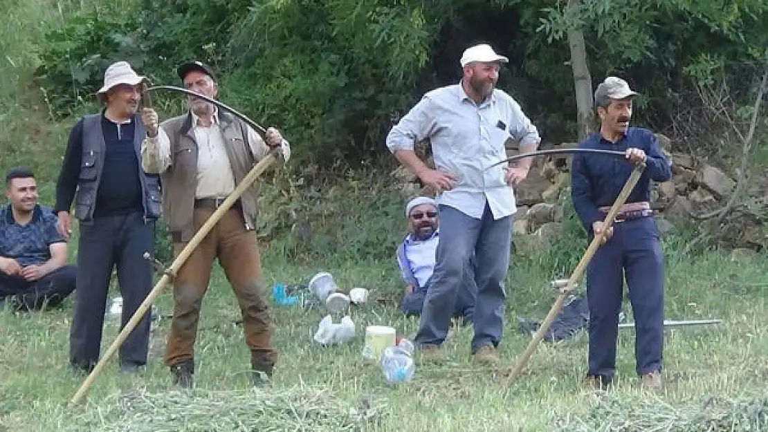 Asırlık ot biçme aracı tırpan teknolojiye meydan okuyor