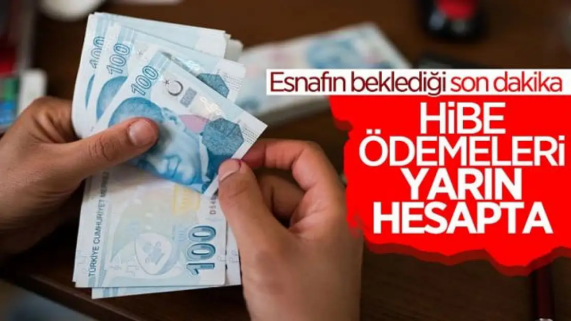 Hibe desteği ödemeleri yarın başlıyor