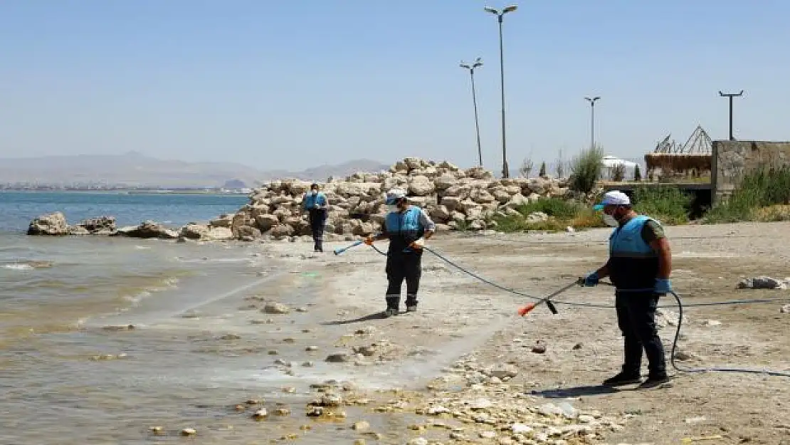 Van Büyükşehir Belediyesinin erken tedbiri sinek popülasyonunu azalttı