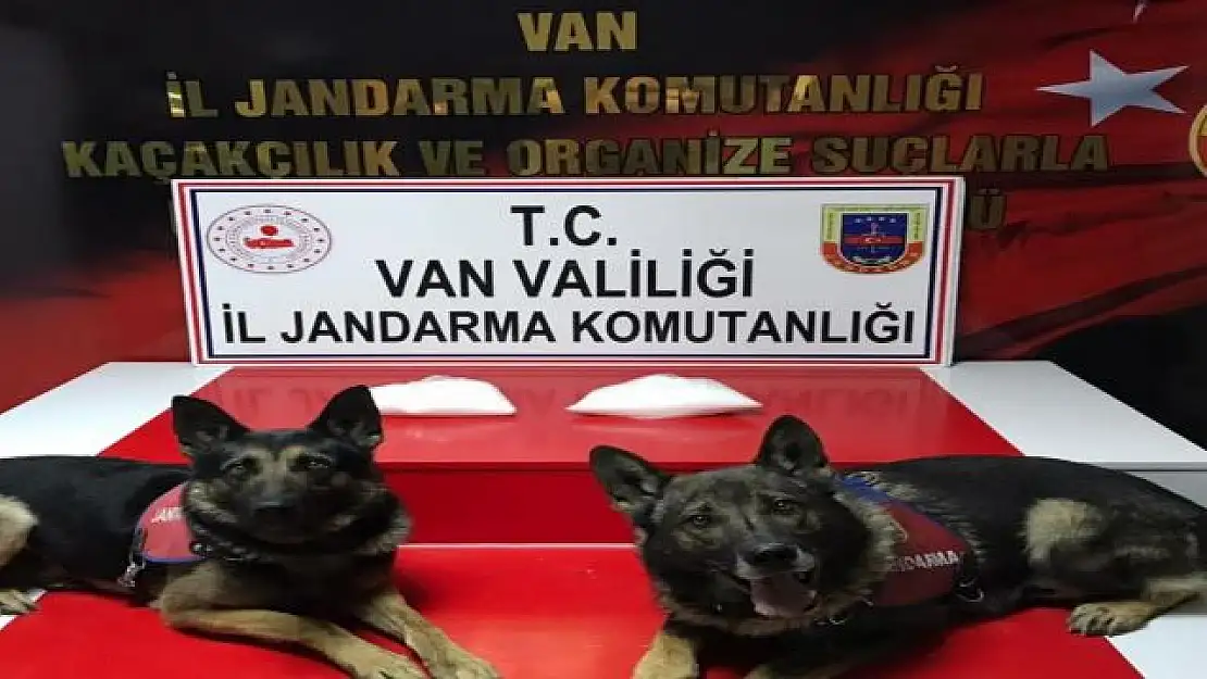 Van'da 2 kilo metamfetamin ele geçirildi