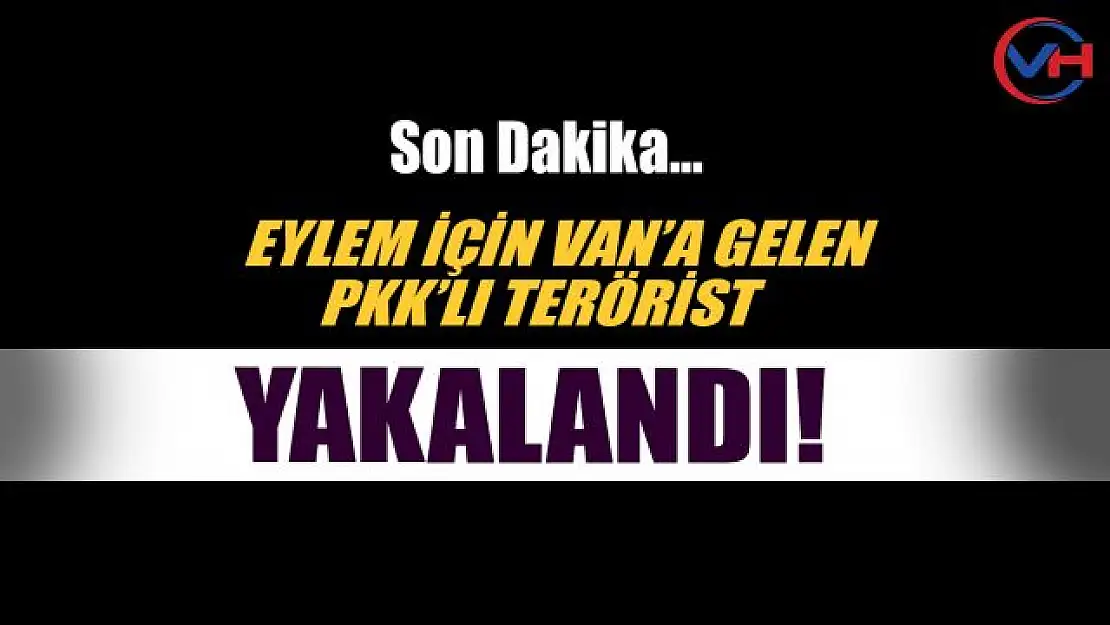 Eylem için Van'a gelen PKK'lı terörist yakalandı