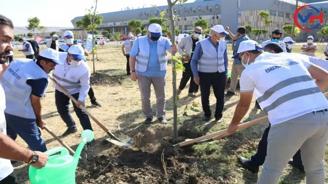 Edremit Belediyesi ve MÜSİAD' dan ortak fidan dikimi