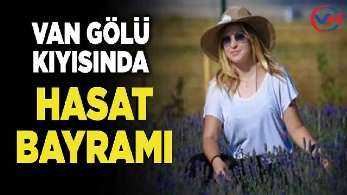 Van Gölü kıyısında hasat bayramı