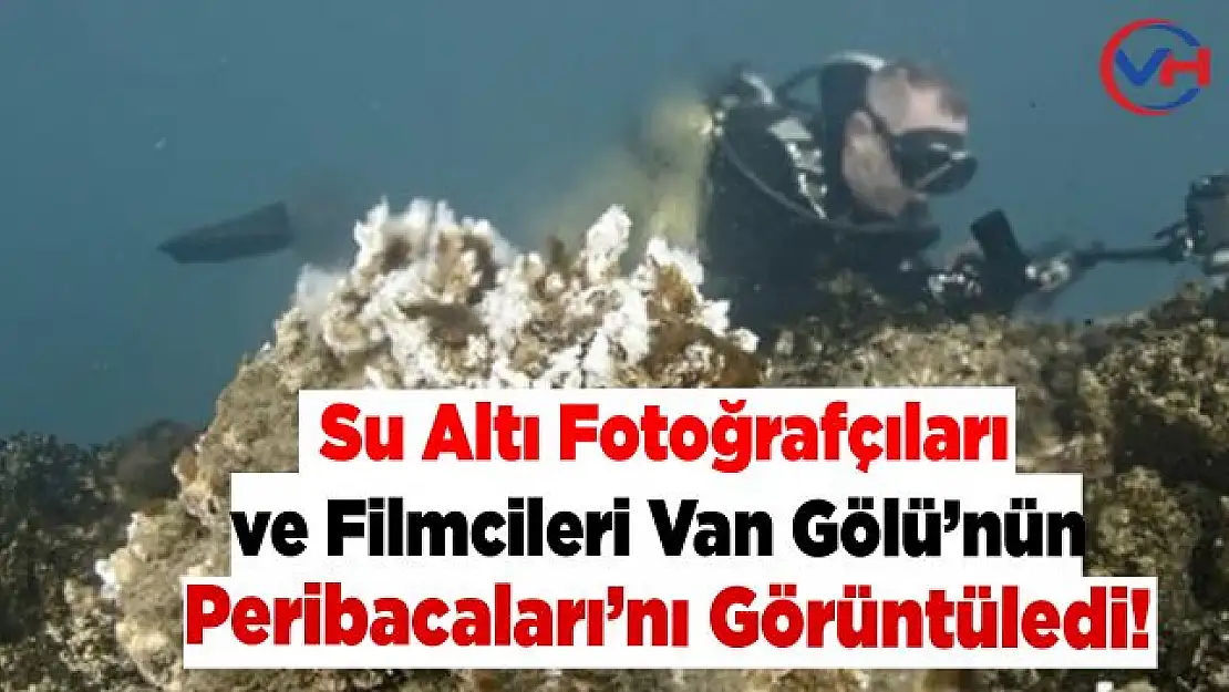 Su altı fotoğrafçıları ve filmcileri, 'Van Gölü'nün Peribacaları'nı görüntüledi!