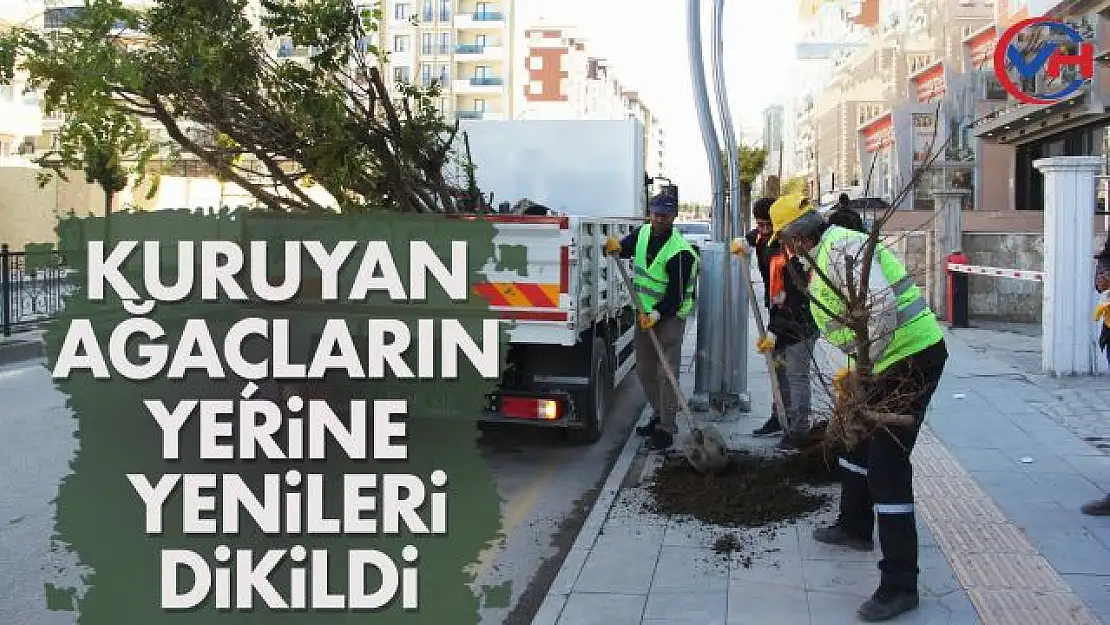 Van Büyükşehir Belediyesi'nden ağaç seferberliği