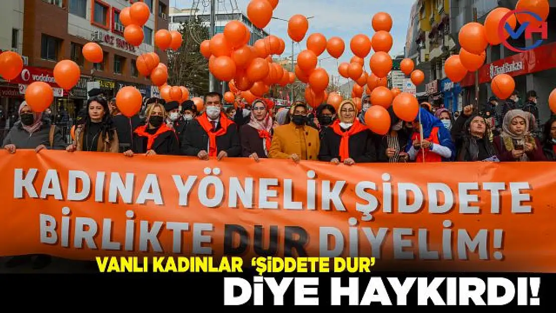 Vanlı Kadınlar 'Şiddete Dur' Diye Haykırdı!