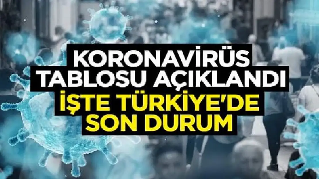 25 Ocak Koronavirüs Tablosu açıklandı