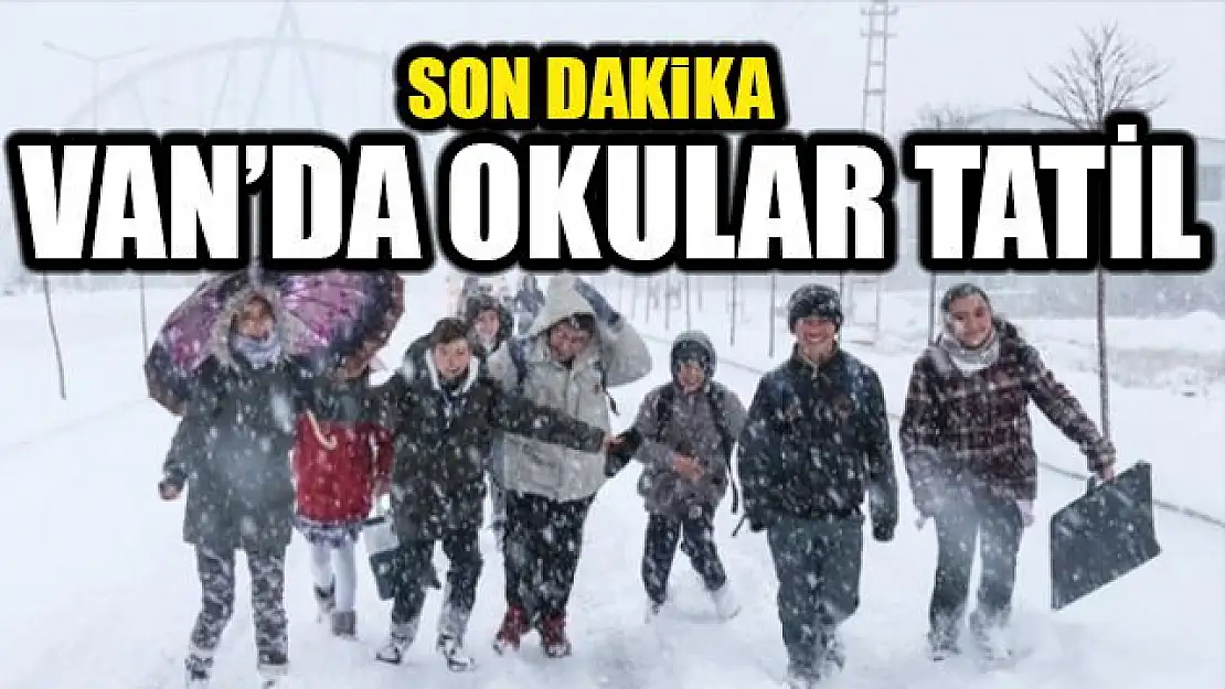 Van'da genelinde okullar tatil edildi! 14 Ocak 2022