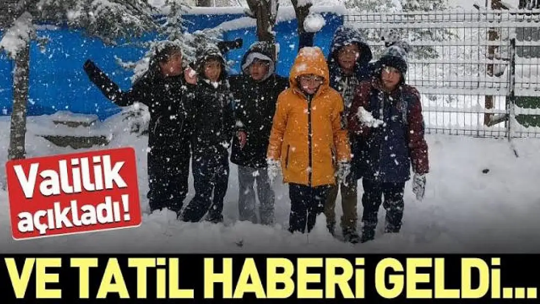 Van'da okullar tatil mi? 20 Ocak 2022 Okullar tatil edildi mi?