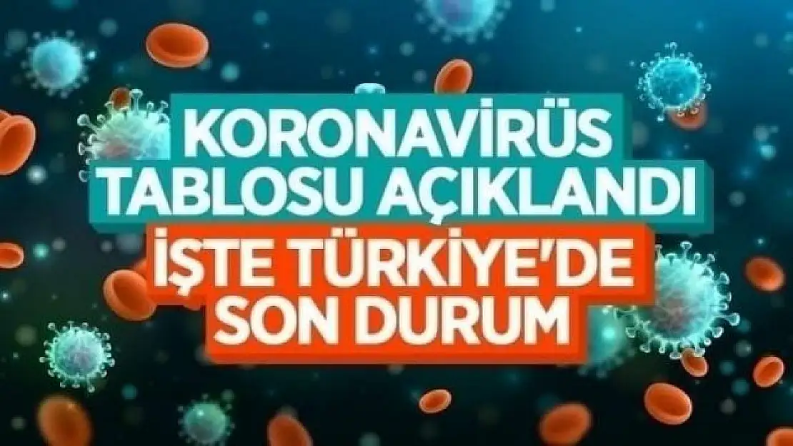 7 Şubat Koronavirüs Tablosu açıklandı