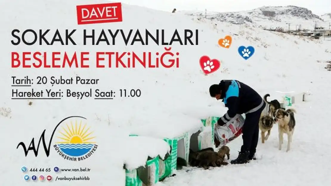 BÜYÜKŞEHİR BELEDİYESİ SOKAK HAYVANLARI İÇİN BESLENME ETKİNLİĞİ DÜZENLİYOR