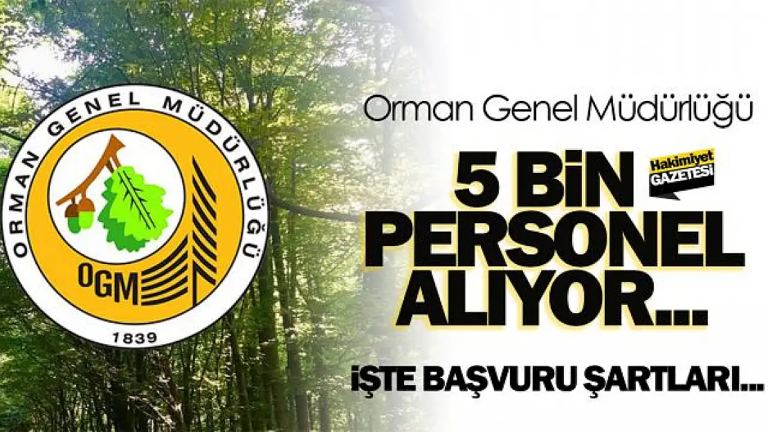 Orman Genel Müdürlüğü 5000 İşçi Alacak! İşte Başvuru Koşulları!