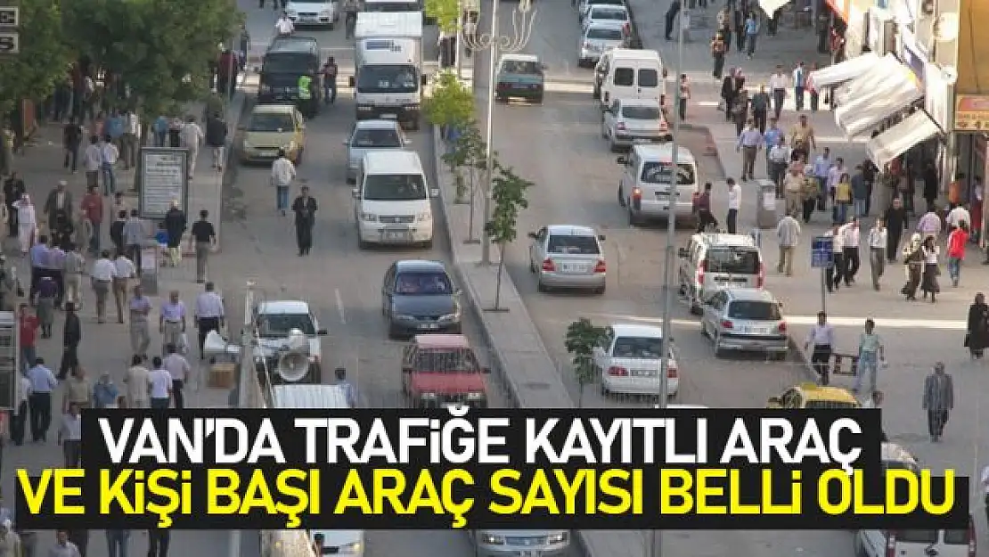 Van'da kişi başına düşen otomobil ve toplam araç sayısı açıklandı