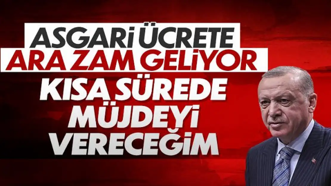 Cumhurbaşkanı Erdoğan'dan asgari ücretle ilgili açıklama