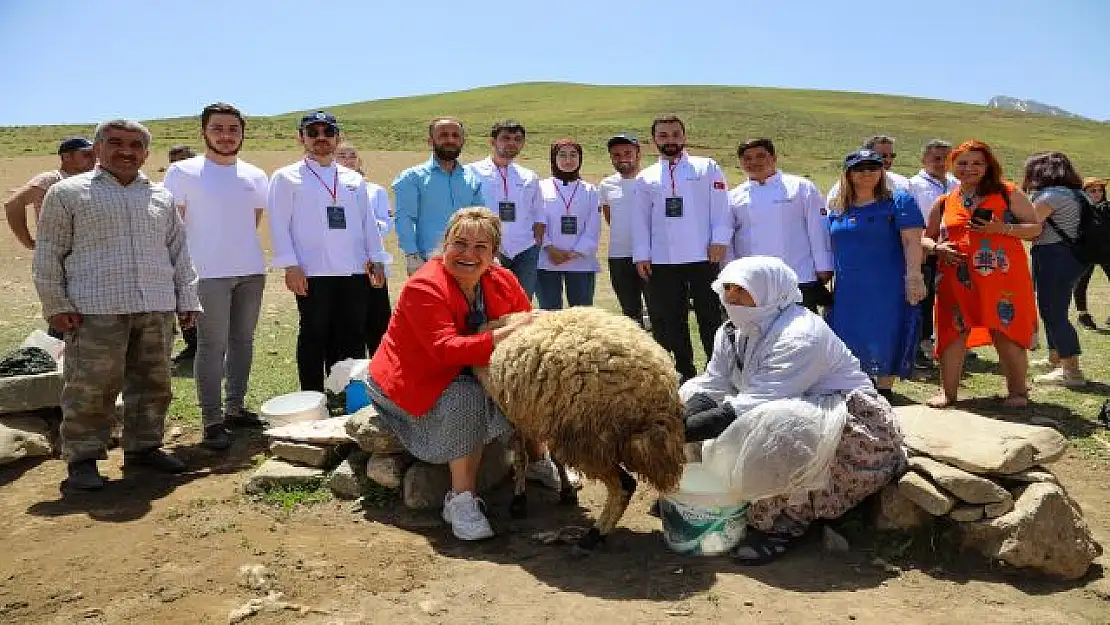 Van GASTRONOMİ Festivali Sona Erdi