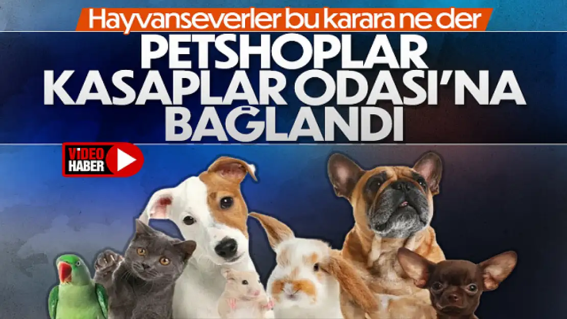 Petshoplar Kasaplar Odası'na bağlandı