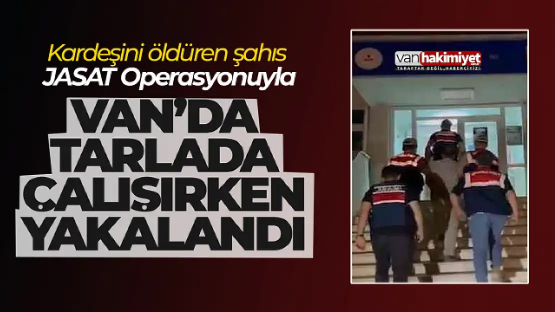 Son dakika Van haber | Kardeşini öldüren şahıs tarlada çalışırken yakalandı