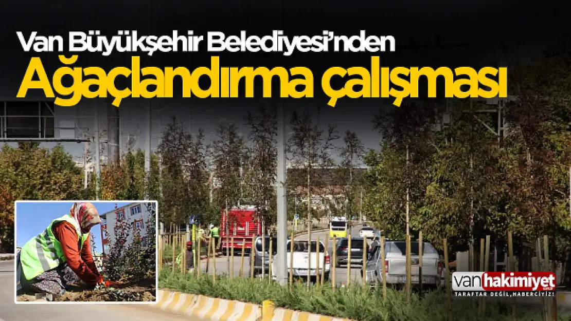 Van Büyükşehir Belediyesi cadde ve refüjlere ağaç dikti