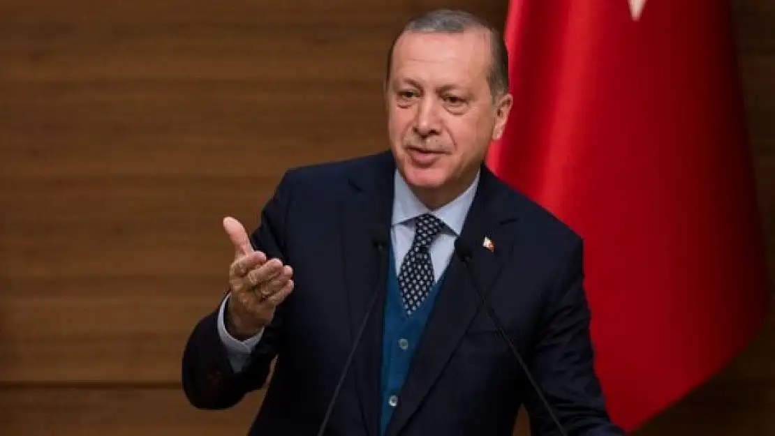 Cumhurbaşkanı Erdoğan: Belediyeler başıboş sokak hayvanlarını toplamalı